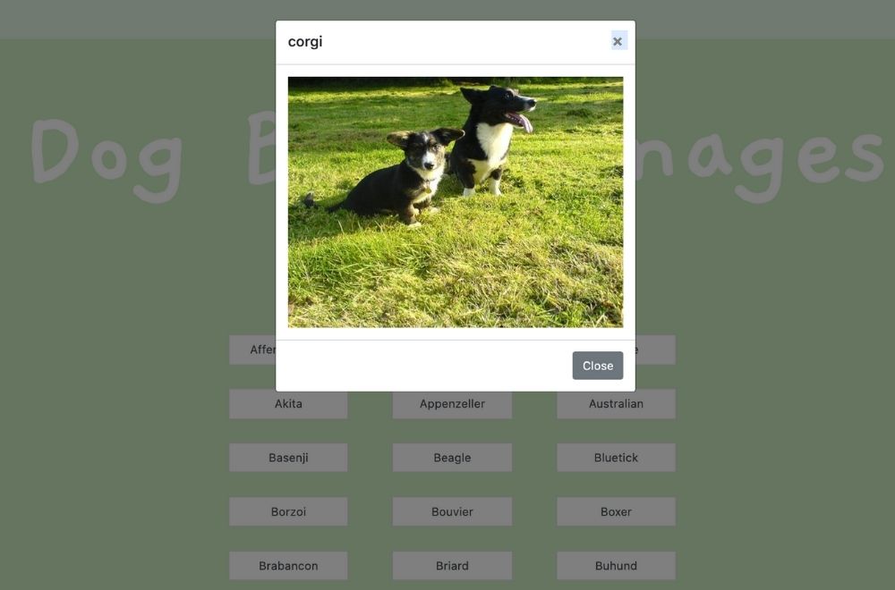 Project 6: Dogs-breed database